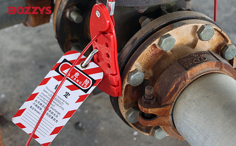 經(jīng)濟(jì)型魚形纜繩鎖-BD-L21